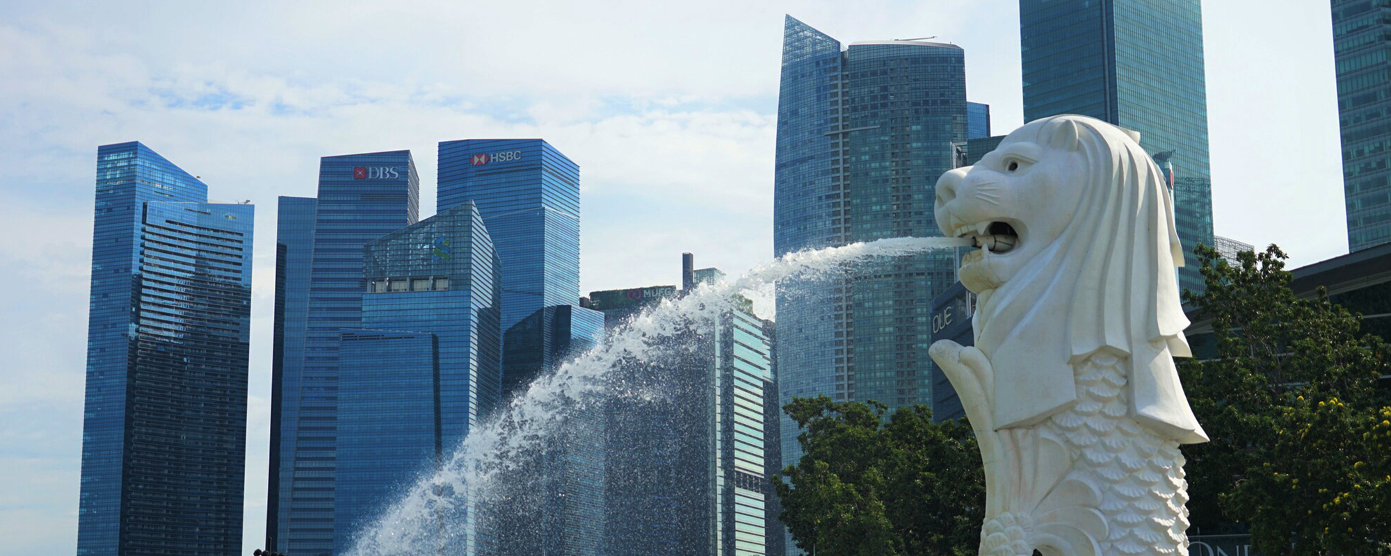 海外事業