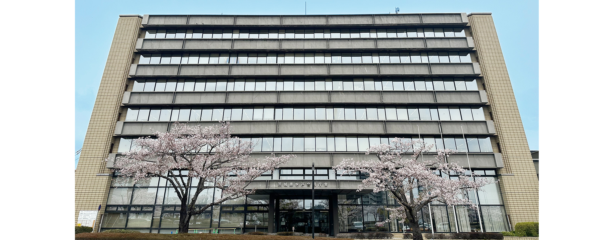 日本と世界をつなぐ。
